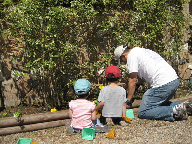 Planting Flowers