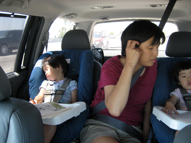 Eleanor Sleeping in the Car