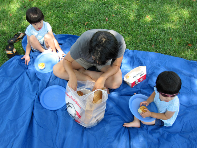 Picnic