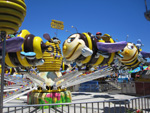 The Bee Ride