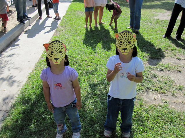 Jaguar Masks