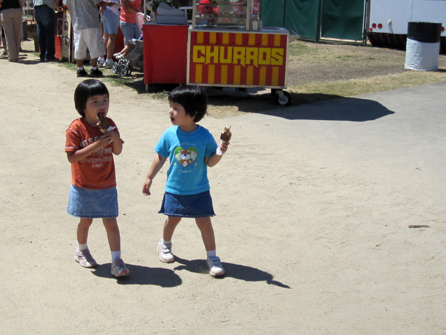 Rice Krispie on a Stick