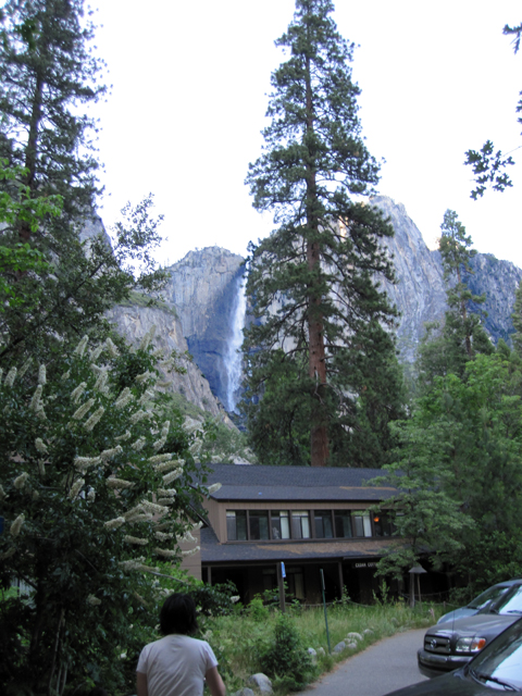 View from the Lodge