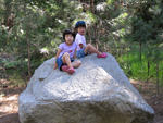 Sitting on a Rock