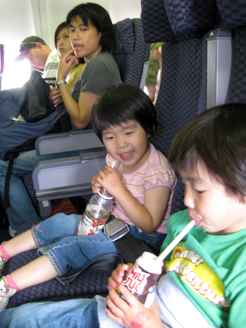 Airplane Drinks