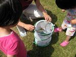 Releasing the Butterflies