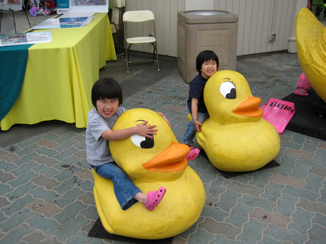 Huntington Beach Ducks