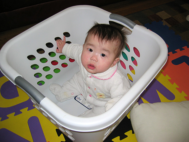 Miranda in the Laundry Basket