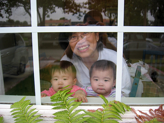 At the Window