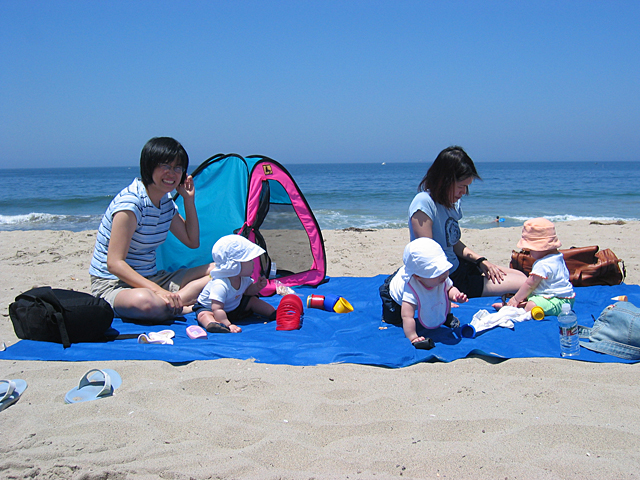 A Day at the Beach