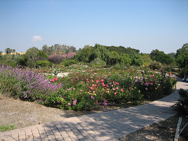 Botanical Gardens