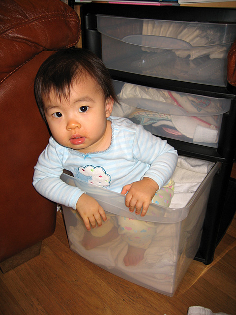 Sitting in the Drawer