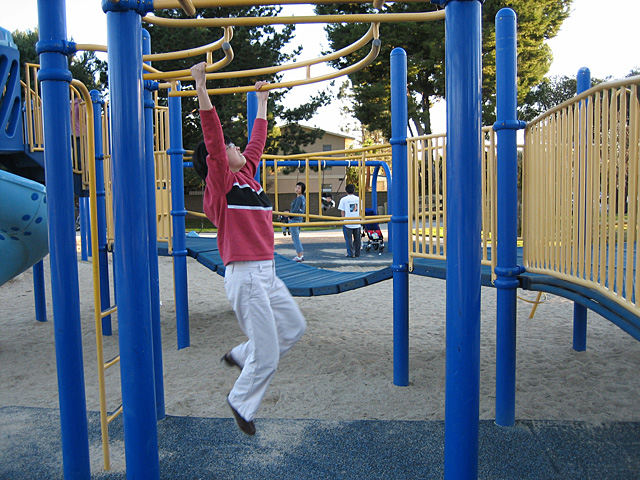 Agnes on the Monkey Bars