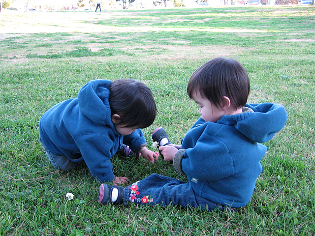 Picking Flowers