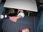 Tray Table