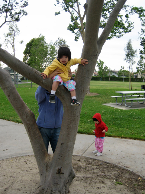 Eleanor in a Tree