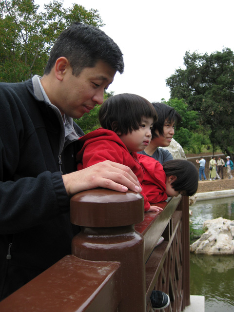 Looking at the Pond