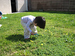 Examining Flowers