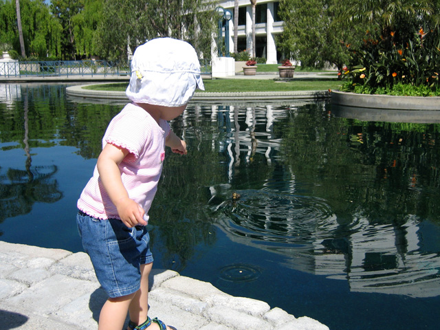 Feeding Cheerios to the Ducklings