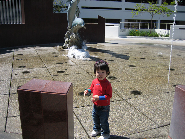 Miranda in the Fountain