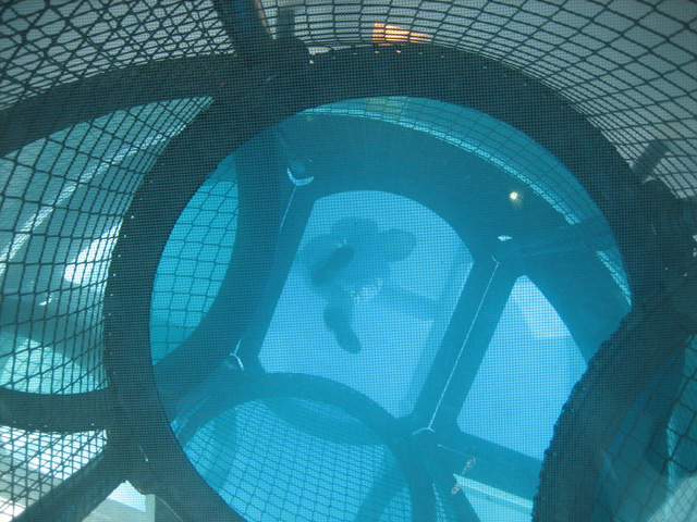 Agnes at the Top of the Tower