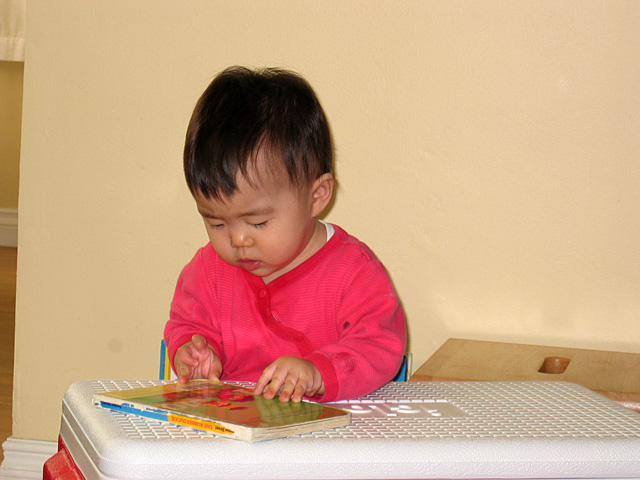 Miranda with a Book