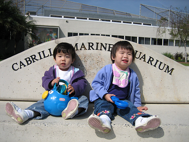 Sitting on the Aquarium Bench