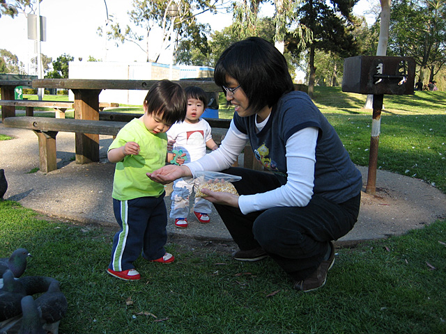 Feeding the Birds