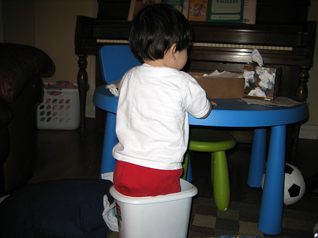 Standing in the Trashcan