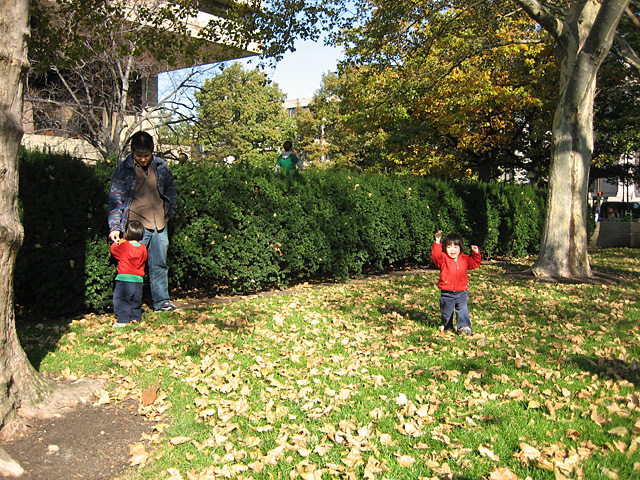 Playing in the Leaves