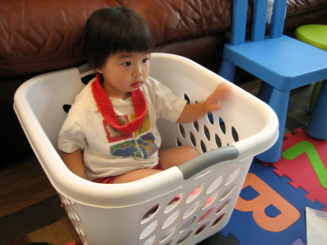 Eleanor in the Laundry Basket