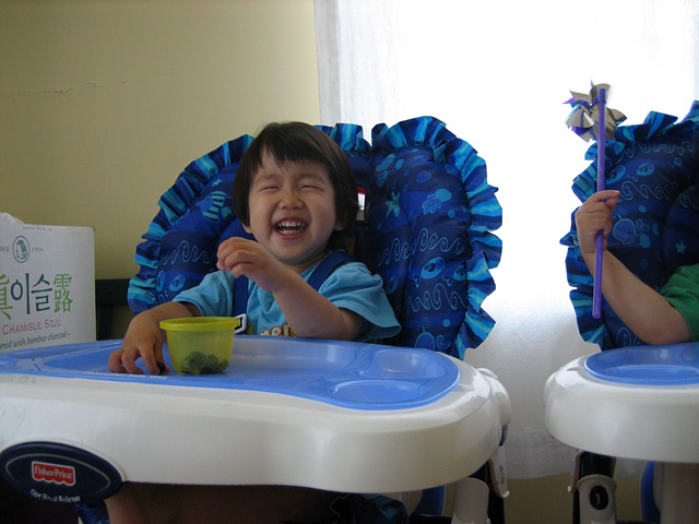 Miranda Laughing at Blueberries