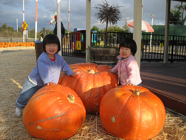 Happy Face with Pumpkins