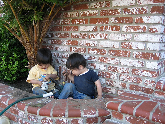 Playing in the Planter