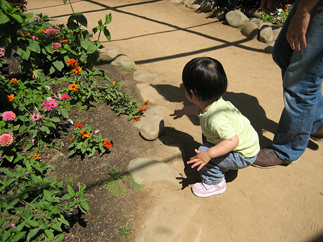 Rock at the Butterfly Display