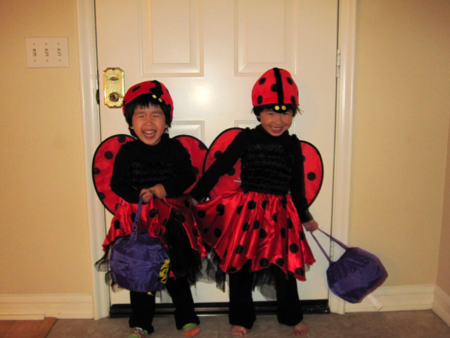 LadyBugs