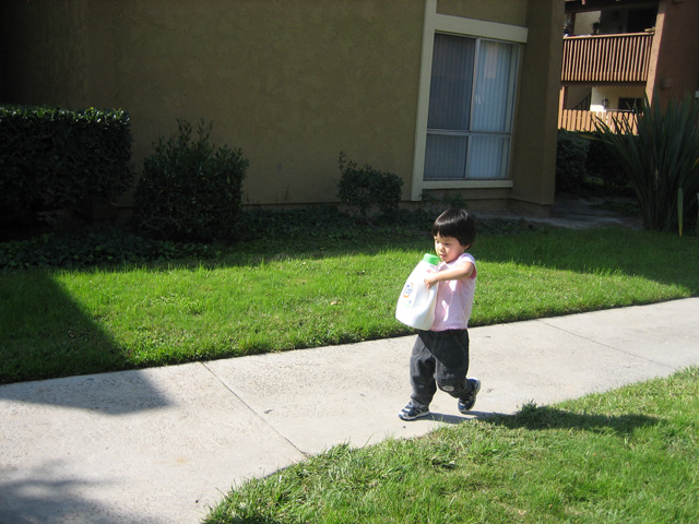 Miranda Carrying the Detergent