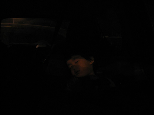 Miranda Sleeping in the Car