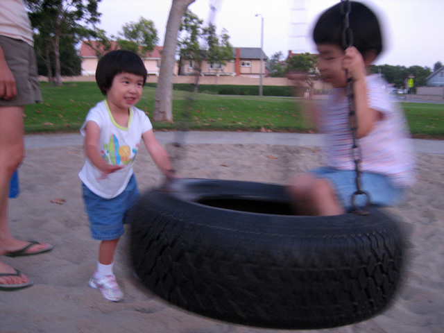 Tire Swing