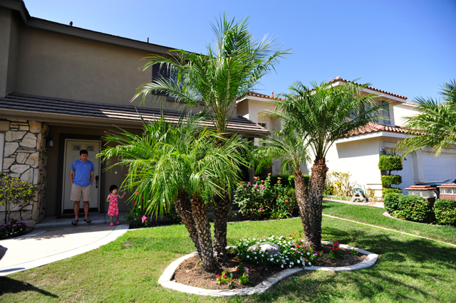 The Front of our House