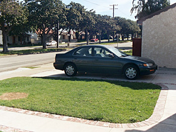 frontyard and driveway