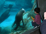 Jared and a Seal, Part 3